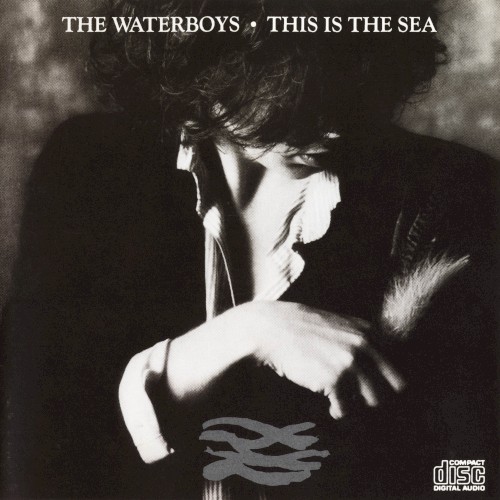 The Waterboys